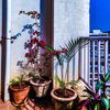 Balkon gestalten: Diese 6 Töpfe eignen sich für draußen