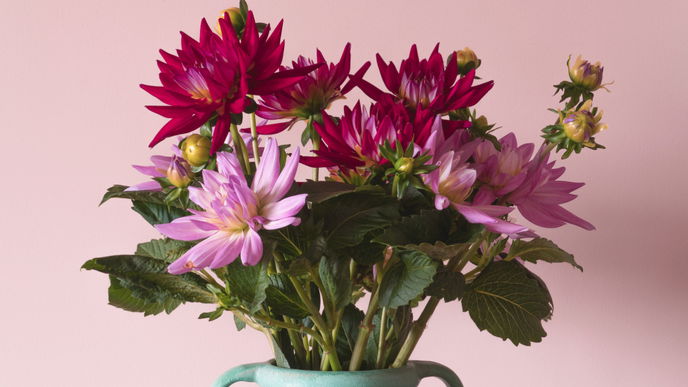 Florist der britischen Royals verrät: 6 Tricks halten Blumen länger frisch