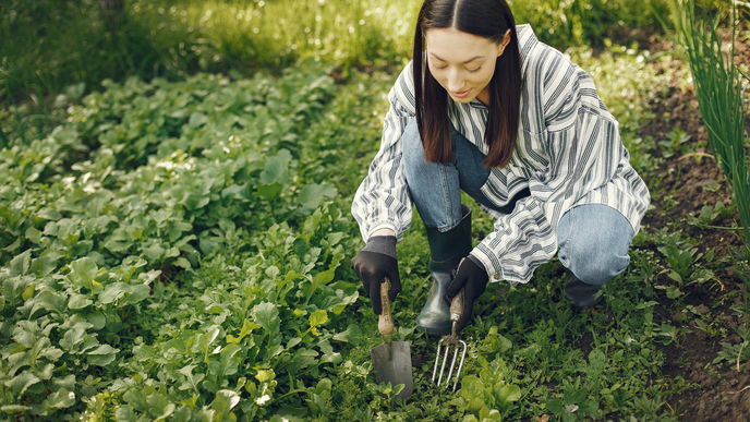 Was Sie aus Ihrem Garten entfernen sollten