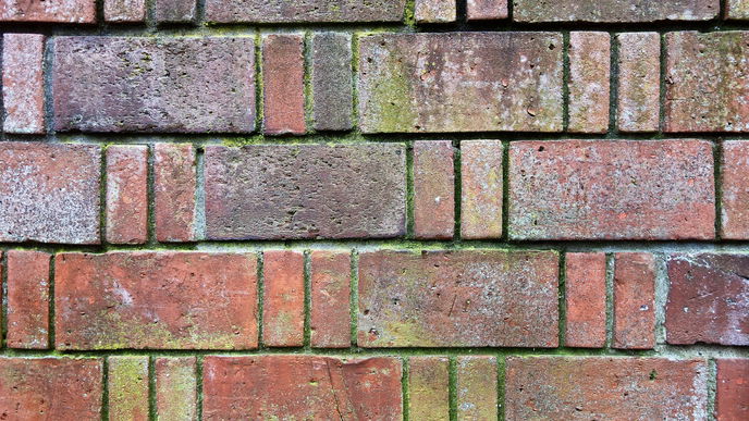 Moos an Hauswand: Diese 5 Hausmittel entfernen den Grünbelag effektiv