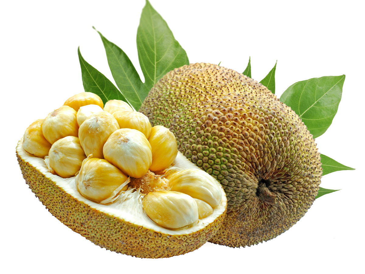 Jackfruit