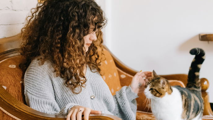 Getreidefreies Katzenfutter: Die 5 besten Marken