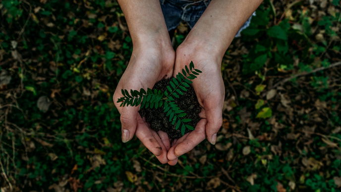Garten im April: 5 Pflanzen, die Sie jetzt anpflanzen können