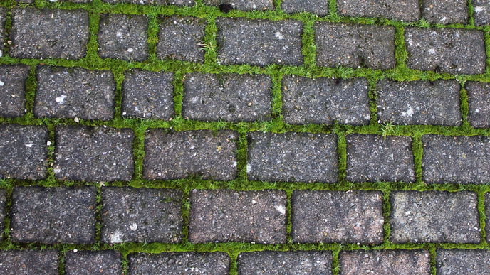 Unkraut aus Pflasterfugen entfernen: 5 effektive Möglichkeiten