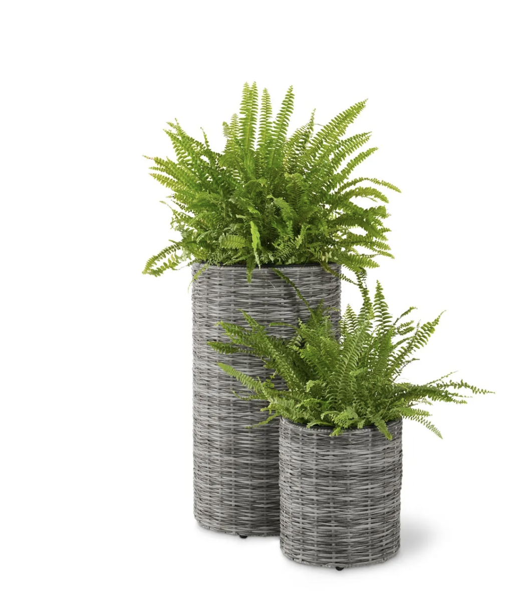 Topf aus Rattan