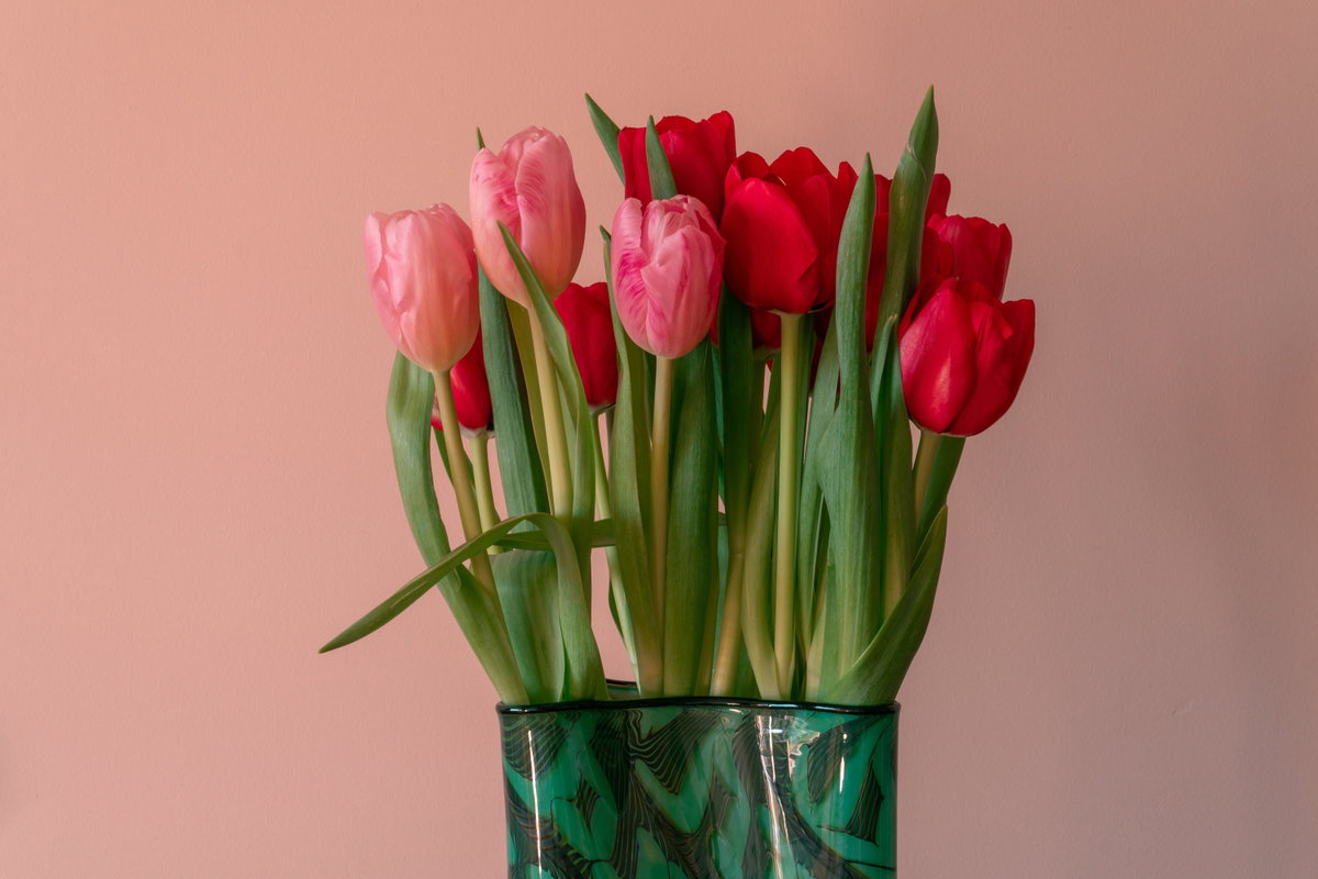 Vase mit Tulpen