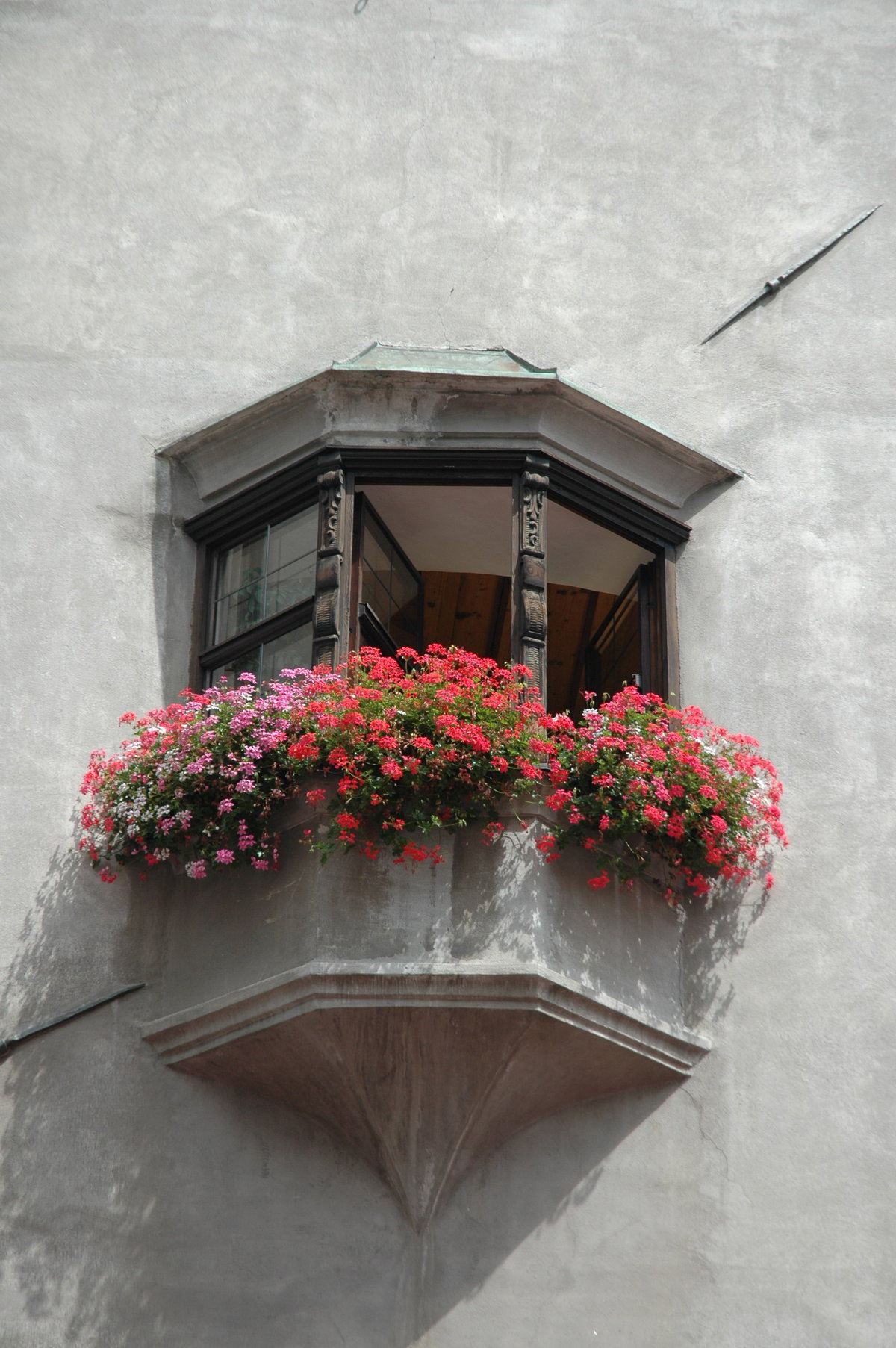 Balkonblumen