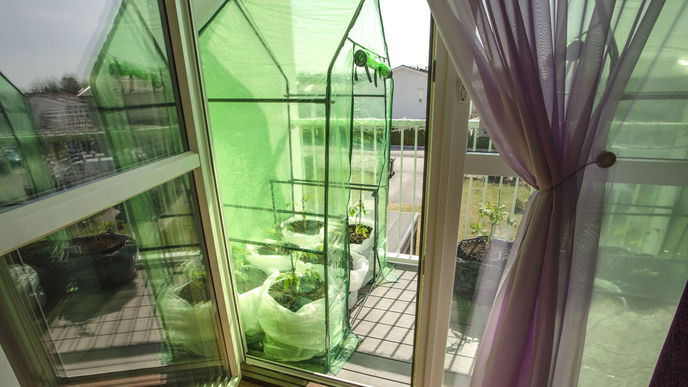 Garten-Hack: Kleines Gewächshaus selber bauen