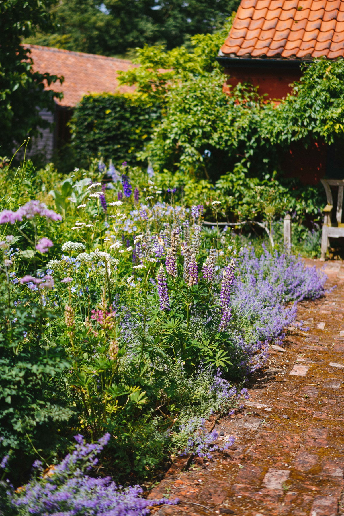Blumenbeet