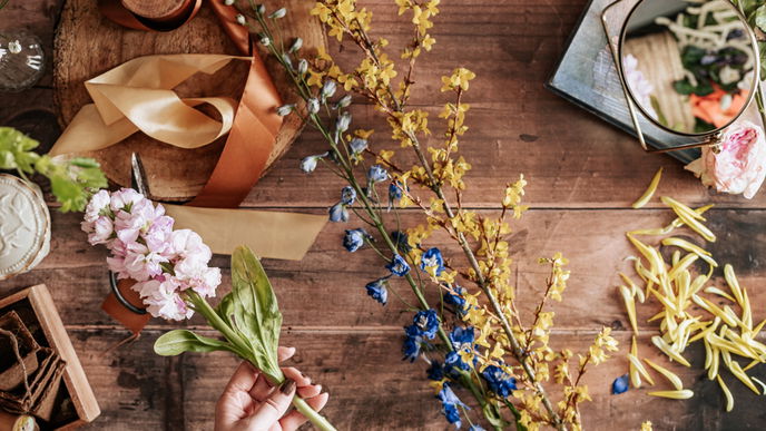 Die schönsten Schnittblumen für den Garten