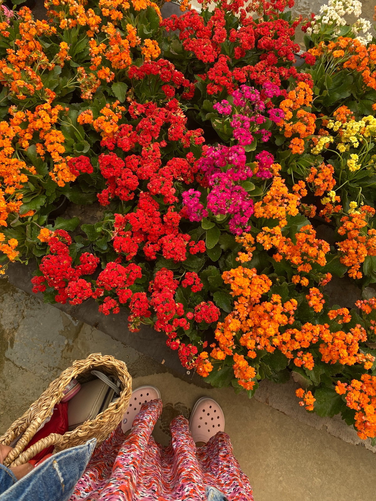 Blumenbeet