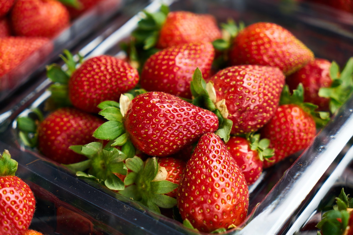 Erdbeeren