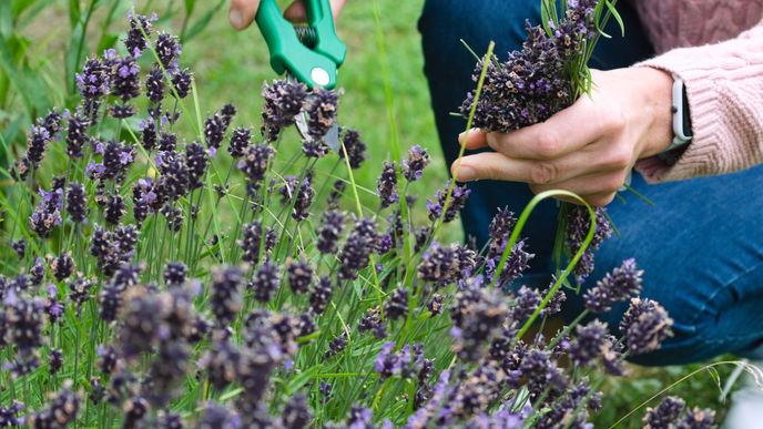 Diese Tipps erleichtern Ihnen die Gartenarbeit
