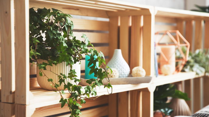 Schimmel von Holz entfernen: Diese Tipps helfen sofort