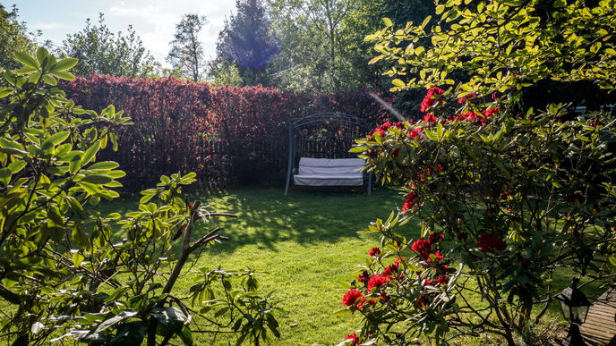 Garten gestalten: 4 Tipps, mit denen ein kleiner Garten größer wirkt