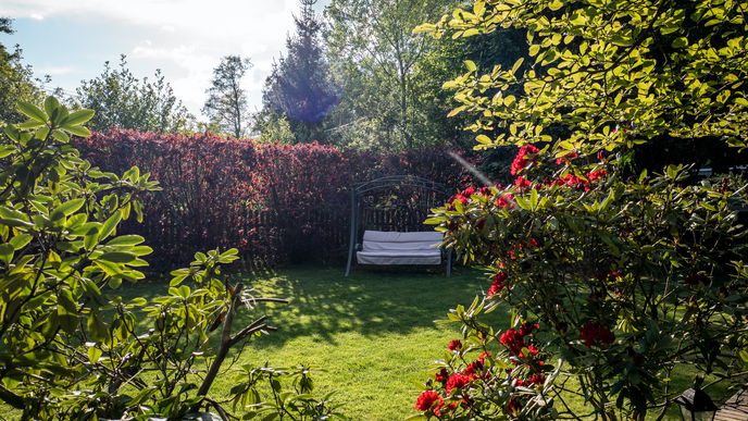 Die 7 besten Tipps und Tricks für mehr Nachhaltigkeit im eigenen Garten