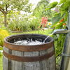 Wasser sparen: 6 Tipps für eine Regentonne im Garten