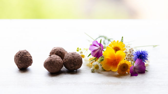 Blumenbeet gestalten: So können Sie Samenbomben selber machen 