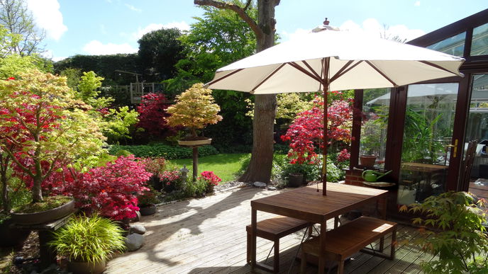 Garten gestalten: Diese 4 Sonnenschirme liegen im Trend