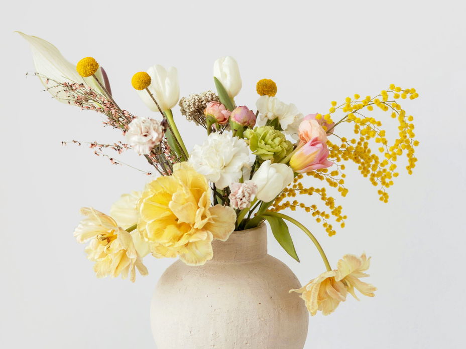 Narzissen vs. Tulpe: Diese Blumen sind Einzelgänger
