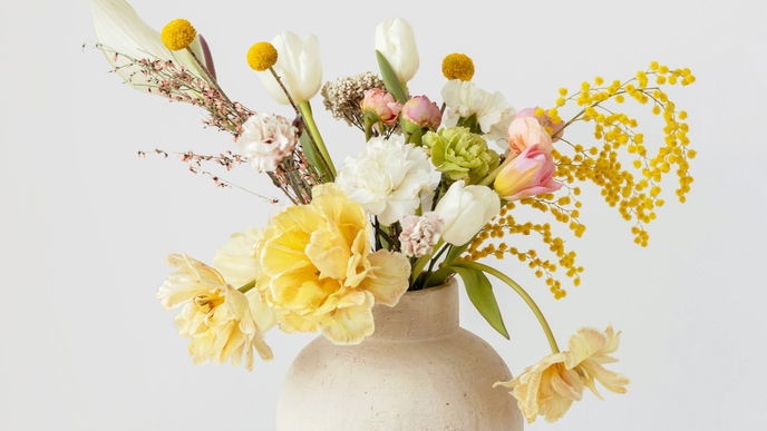 Narzissen vs. Tulpen: Diese Blumen lieber nicht gemeinsam in die Vase stellen