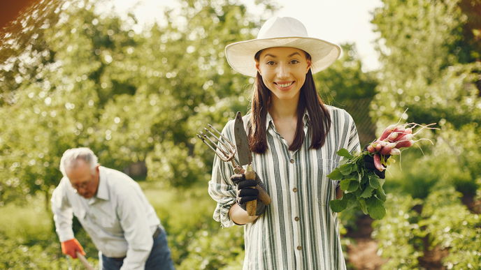 Radieschen pflanzen: Die besten Tipps und Tricks