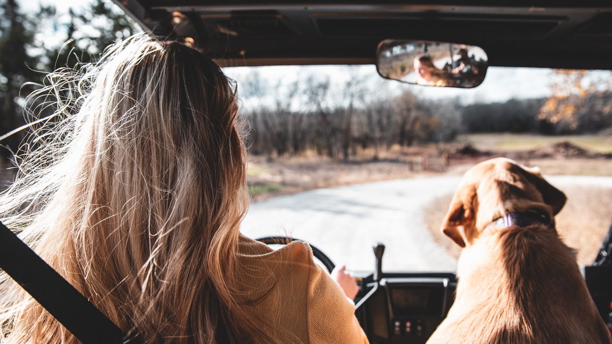 Reise-Trends 2022: 4 Tipps für den Roadtrip