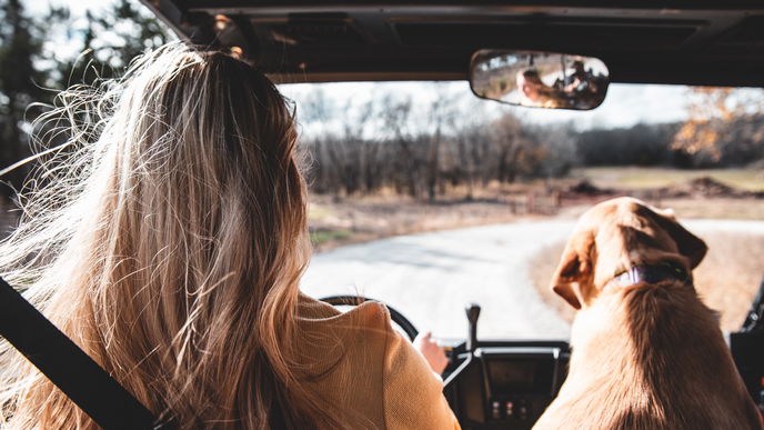 3 Dinge, die jeder bei einer Reise mit dem Auto vergisst
