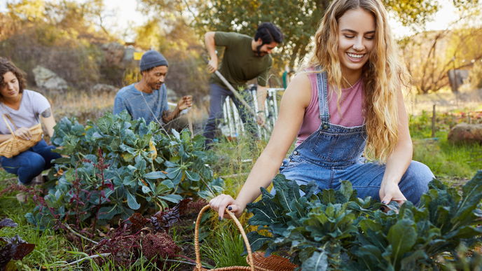 Eigener Schrebergarten: 3 häufige Fehler und wie Sie diese vermeiden