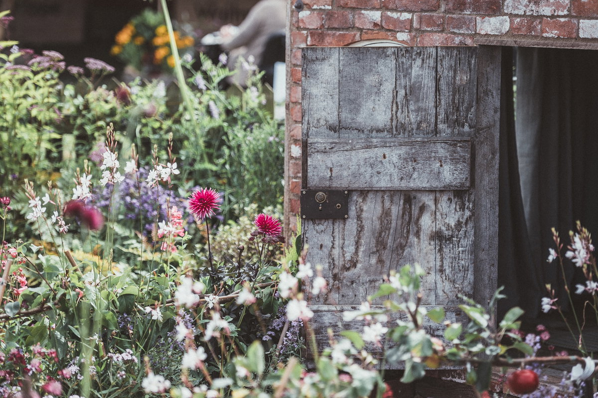Wildblumen
