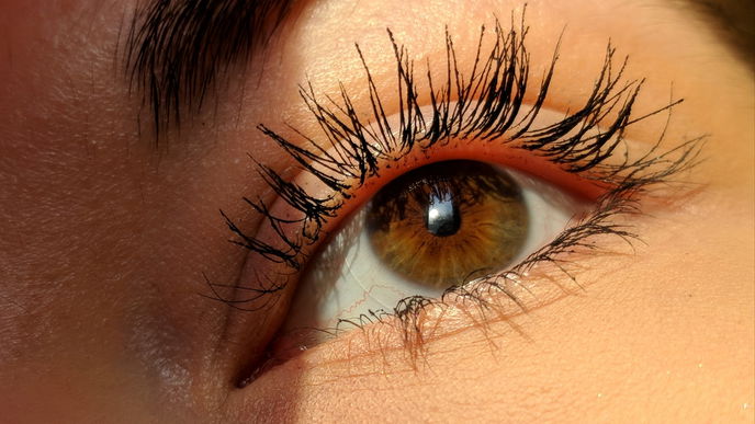 Günstig und effektiv: Die besten Wimpernseren aus der Drogerie