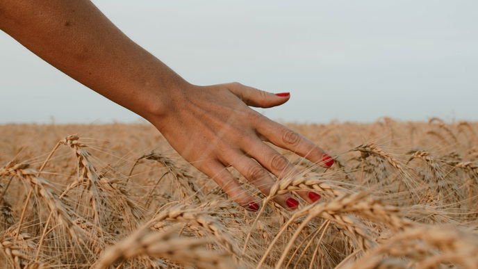 Nagellack-Trends: 5 Lacke lassen die Haut gebräunter aussehen