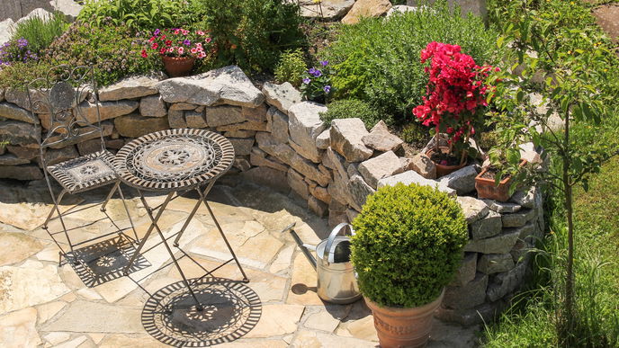Schöne mediterrane Pflanzen für den Garten 