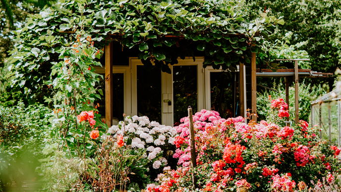 Allergikerfreundlicher Garten: 4 Tipps, um Pollen zu entgehen 