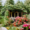 Allergikerfreundlicher Garten: 4 Tipps, um Pollen zu entgehen