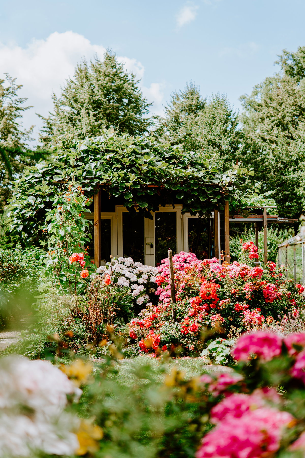 Allergikerfreundlicher Garten