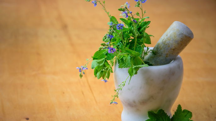Abnehmen mit Phytotherapie: So funktioniert es