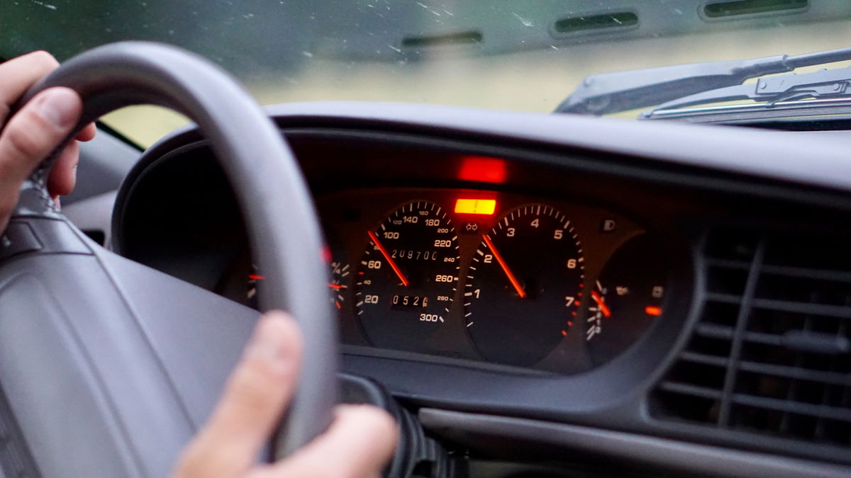 Wespe im Auto: So sollten Sie sich verhalten