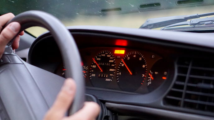 Wespe im Auto: So sollten Sie sich verhalten