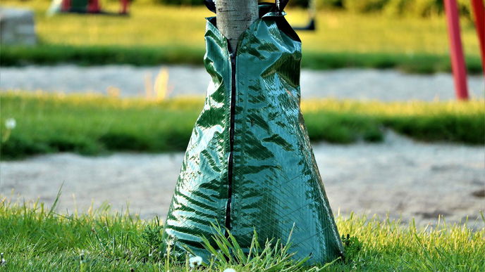 Bewässerungssack: Das praktische Garten-Tool gießt von ganz alleine