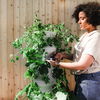 Gartenarbeit im August: 5 Dinge, die jetzt anstehen
