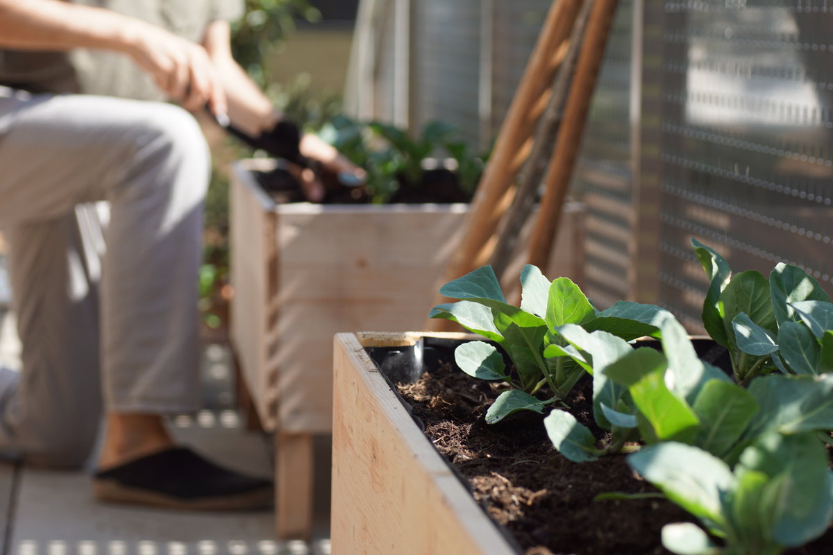 Hochbeet auf Balkon