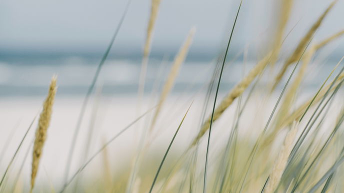 Reise-Trends 2022: 4 versteckte Perlen an der Ostsee