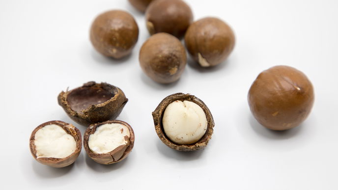 Macadamia: Ist die Königin der Nüsse wirklich gesund?