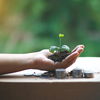 Geld sparen: 5 Tipps, die Ihnen UND der Umwelt helfen