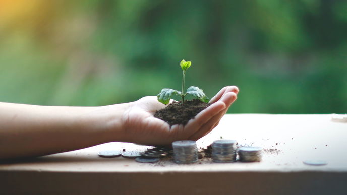 Geld sparen: 5 Tipps, die Ihnen UND der Umwelt helfen