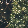 Strom sparen an Weihnachten: Wichtige Infos und Tipps