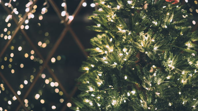 Strom sparen an Weihnachten: Wichtige Infos und Tipps