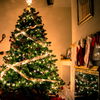 Weihnachten 2022: Diese stromsparende Lichterkette von Amazon spart bares Geld
