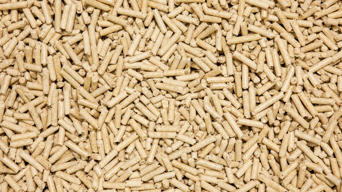 Aus DIESEM Grund sollten Sie Holzpellets niemals in der Wohnung lagern